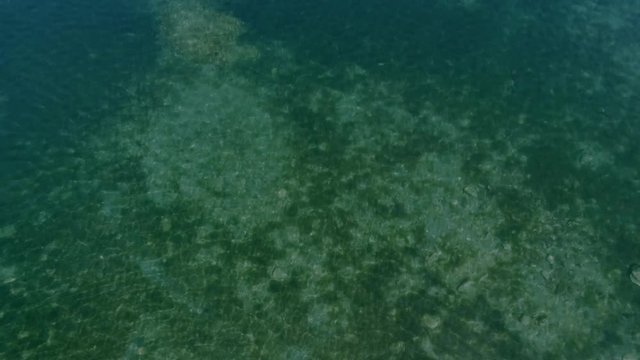 Extreme zoom out from ascending drone showing underwater growth patterns in Mediterrean Sea, Greece. Hyperlapse. Fractals in nature.