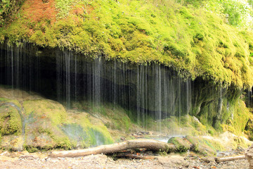 Wutachschlucht Schwarzwald
