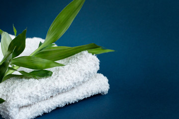 cotton towel and green bamboo leaf, blue background with empty space for text