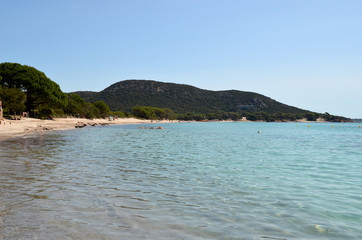 Naklejka premium plage de palombaggia