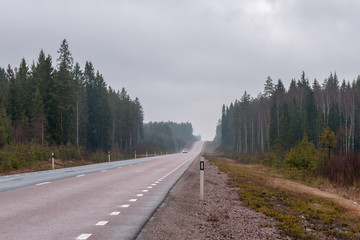 asphalt, foggy, straight road in central sweden. selective focus