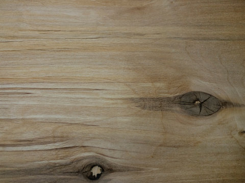 Close up of cross section of the tree. Wood stock images 