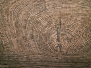 Naklejka premium Close up of cross section of the tree. Wood stock images 