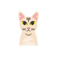 Cute white cat cartoon vector design