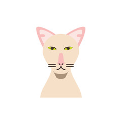 Cute white cat cartoon vector design