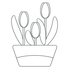 Black and white illustration, coloring page for children: spring tulips in a garden pot