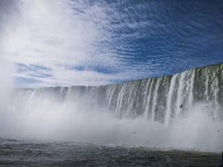 Wasserflut der Niagara Falls vor blauem Himmer und Nebel mit Möwen