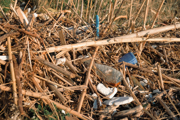 Plastic containers on wild sea coast polluted ecosystem after a winter storm