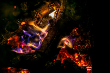 Fototapeta na wymiar Flames of burning bonfire on black background. Close-up photo. Detailed burning flames background