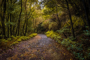 paisajes de naturaleza con montañas y senderos