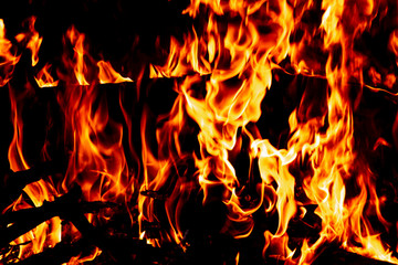 Fire on a dark background. Background from fire. Fire close up. Background for designers.Wood fire...