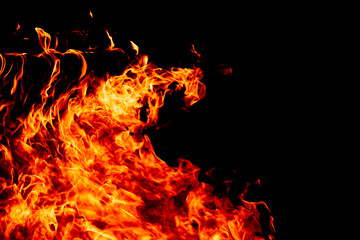Fire on a dark background. Background from fire. Fire close up. Background for designers.Wood fire...