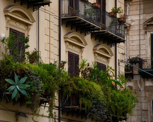 Garden in the balcony (Palermo, capital of Sicily)