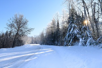 country road covered in snow, snowcapped trees 