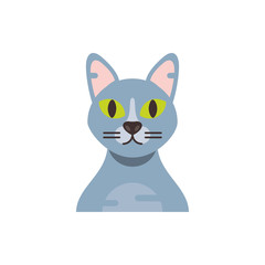Cute grey cat cartoon vector design