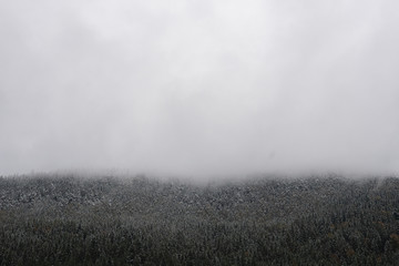 Carpathian mountains in the clouds in the winter black and white color
