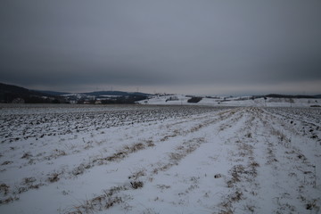 winter