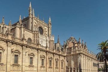 Fototapeta na wymiar Seville Cathedral in Spain. Majestic view of this huge Catholic Cathedral