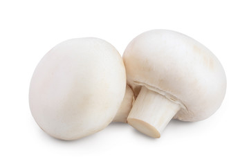 Fresh mushroom champignon isolated on white background with clipping path