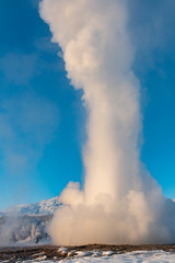 Strokkur geyser erupting in Geysir Geothermal hot spring in Iceland on a clear blue sky day in winter