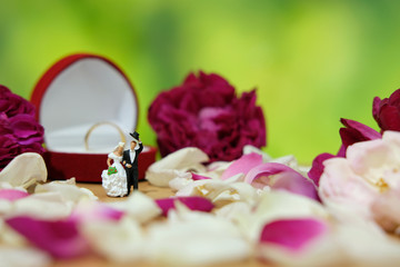 Miniature photography - outdoor wedding / garden wedding ceremony concept, bride and groom walking on red and white rose flower pile	