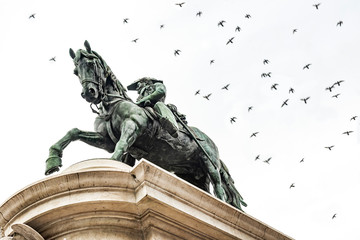 Monument of King Peter IV in the middle of the Liberdade square in Porto, Portugal. Seagulls surround the equestrian statue of this king