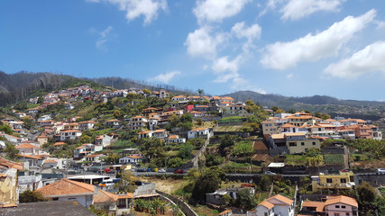 Fototapeta premium Madère, colline de la monte