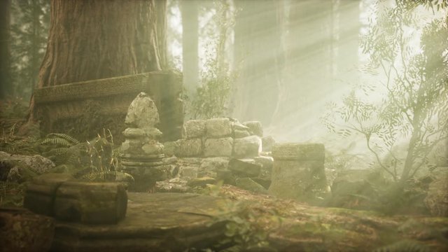 Hoary ruins of ancient city in pine forest