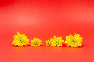 Tennis is on red background