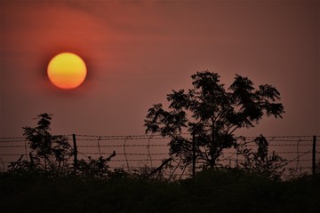 Obraz premium Sunrise colors in the ruaral sector of Maharashtra India