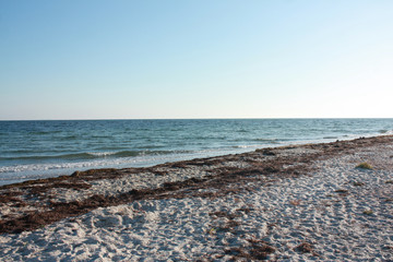 Landscape of Jarylgach Island, Ukraine. Black Sea coast.