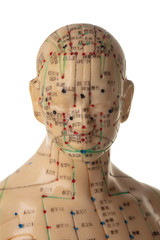Head from Acupuncture Model - obrazy, fototapety, plakaty