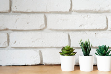 Green succulent plants in a pot on a wooden table with white brick wall background with copy space.