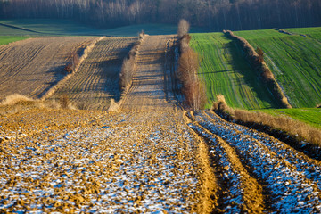 cultivated agricultural fields as abstract pattern in autumn sunset. Colorful countryside patchwork