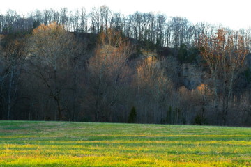 toward paint rock bluff