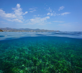 Naklejka na ściany i meble Mediterranean seascape, coastline with cloudy blue sky and seabed covered by Posidonia oceanica sea grass underwater, split view over and under water surface, Costa Brava, Catalonia
