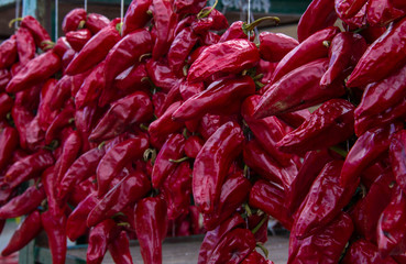 Red peppers on strings