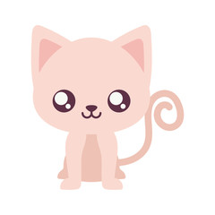 Obraz premium kawaii cat cartoon vector design