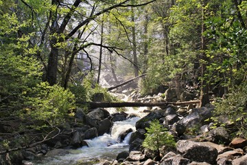 Yosemite stream