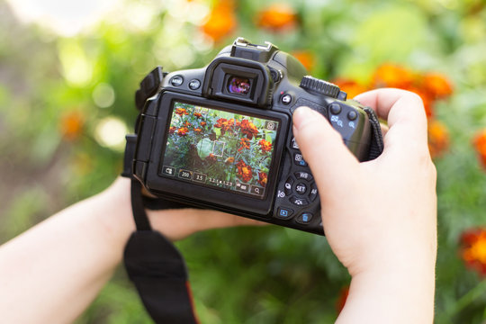 Making nature photos and video. Camera on hands closeup