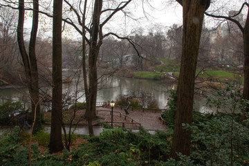 Obraz premium The Pond, Central Park, New York City