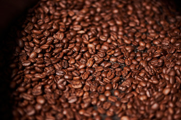 Freshly roasted coffee. Close up.