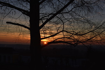 Fototapeta premium Gute Nacht.