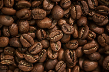 Freshly roasted coffee beans. Background.