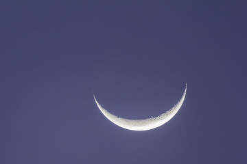 Fototapeta na wymiar beautiful half moon in the morning