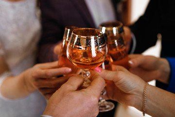 clinking glasses at a party, whiskey, cognac and champagne, fun of a big company, joyful people, feast