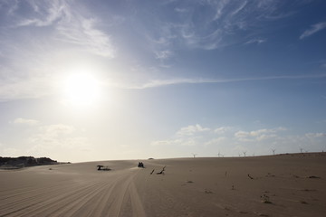Dry Desert and Surface
