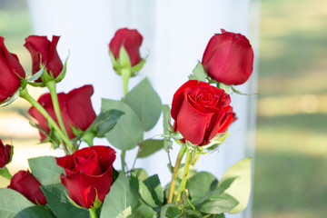 Red roses bouquet in clos up
