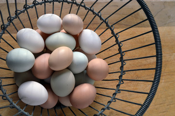 Farm fresh eggs with multicolored shells in wire basket - Powered by Adobe