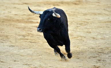 toro español